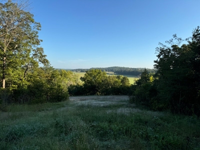 Southfork River Frontage Property With Development Potential - image 26