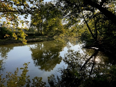 Southfork River Frontage Property With Development Potential - image 21