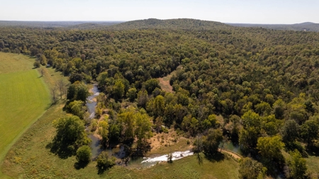 Southfork River Frontage Property With Development Potential - image 47
