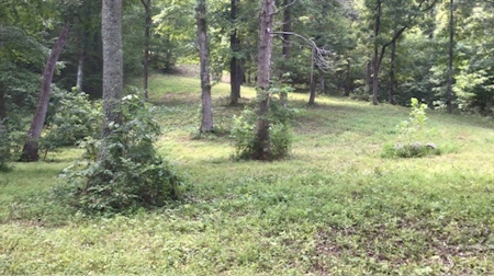 Southfork River Frontage Property With Development Potential - image 27