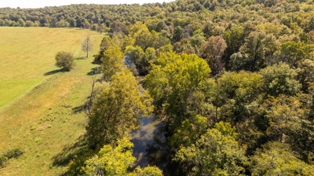 Southfork River Frontage Property With Development Potential - image 41