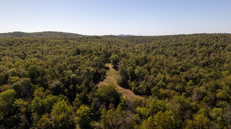 Southfork River Frontage Property With Development Potential - image 45
