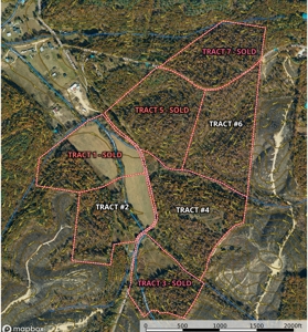 Land For Sale In Tn, 25.8 Ac+/-, Hunting, Wooded Land, Creek - image 12