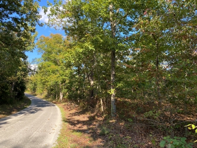 Land For Sale In Tn, 25.8 Ac+/-, Hunting, Wooded Land, Creek - image 1