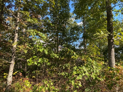 Land For Sale In Tn, 25.8 Ac+/-, Hunting, Wooded Land, Creek - image 8