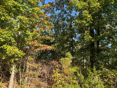 Land For Sale In Tn, 25.8 Ac+/-, Hunting, Wooded Land, Creek - image 7