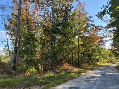 Land For Sale In Tn, 25.8 Ac+/-, Hunting, Wooded Land, Creek - image 2
