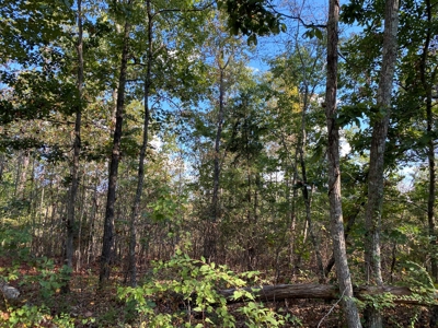 Land For Sale In Tn, 25.8 Ac+/-, Hunting, Wooded Land, Creek - image 6