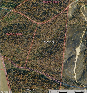 Land For Sale In Tn, 25.8 Ac+/-, Hunting, Wooded Land, Creek - image 13