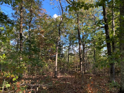 Land For Sale In Tn, 25.8 Ac+/-, Hunting, Wooded Land, Creek - image 5