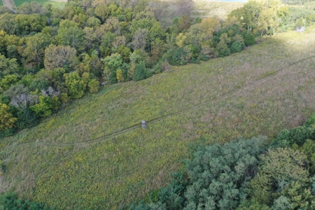 Combination Farm in Missouri - image 8