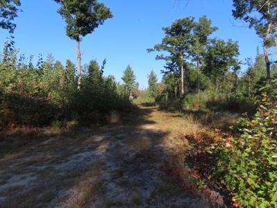 Commercial Storage Units W/  10 Acres For Sale Atlanta MI - image 10