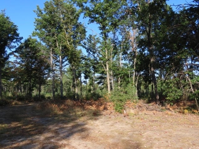 Commercial Storage Units W/  10 Acres For Sale Atlanta MI - image 17