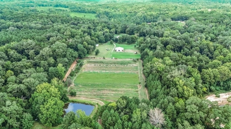 Lonely Live Oak - 1115 Acres Hunting Timberland SW MS - image 1