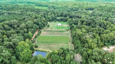 Lonely Live Oak - 1115 Acres Hunting Timberland SW MS