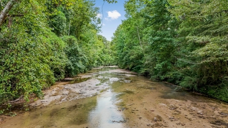 Lonely Live Oak - 1115 Acres Hunting Timberland SW MS - image 28