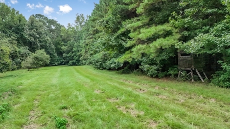 Lonely Live Oak - 1115 Acres Hunting Timberland SW MS - image 41