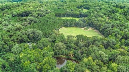 Lonely Live Oak - 1115 Acres Hunting Timberland SW MS - image 22