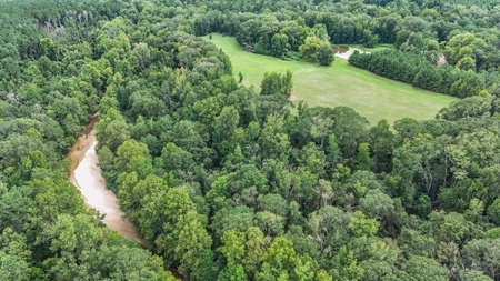 Lonely Live Oak - 1115 Acres Hunting Timberland SW MS - image 30