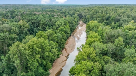 Lonely Live Oak - 1115 Acres Hunting Timberland SW MS - image 34