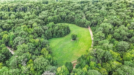 Lonely Live Oak - 1115 Acres Hunting Timberland SW MS - image 17