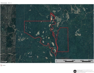 Lonely Live Oak - 1115 Acres Hunting Timberland SW MS - image 47