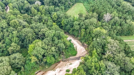 Lonely Live Oak - 1115 Acres Hunting Timberland SW MS - image 16
