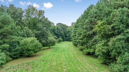 Lonely Live Oak - 1115 Acres Hunting Timberland SW MS - image 40
