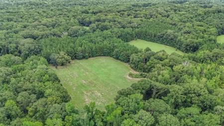 Lonely Live Oak - 1115 Acres Hunting Timberland SW MS - image 38