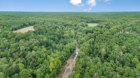 Lonely Live Oak - 1115 Acres Hunting Timberland SW MS - image 35