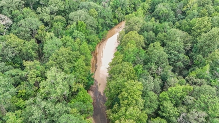 Lonely Live Oak - 1115 Acres Hunting Timberland SW MS - image 29