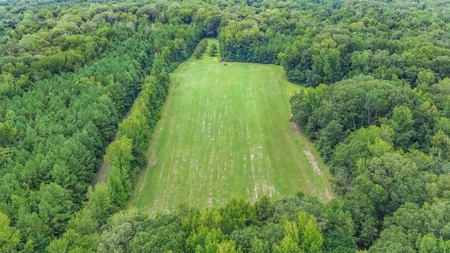 Lonely Live Oak - 1115 Acres Hunting Timberland SW MS - image 32