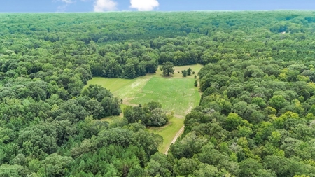 Lonely Live Oak - 1115 Acres Hunting Timberland SW MS - image 19