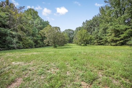 Lonely Live Oak - 1115 Acres Hunting Timberland SW MS - image 3