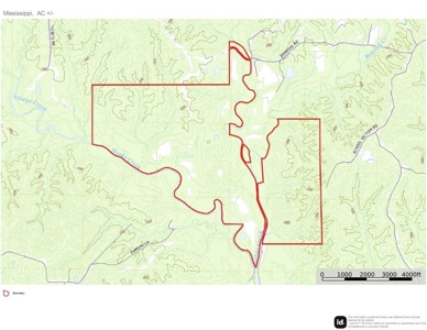 Lonely Live Oak - 1115 Acres Hunting Timberland SW MS - image 49