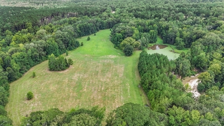 Lonely Live Oak - 1115 Acres Hunting Timberland SW MS - image 31