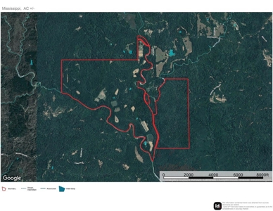 Lonely Live Oak - 1115 Acres Hunting Timberland SW MS - image 48