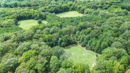 Lonely Live Oak - 1115 Acres Hunting Timberland SW MS - image 23