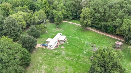 Lonely Live Oak - 1115 Acres Hunting Timberland SW MS - image 18