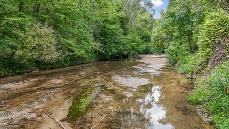 Lonely Live Oak - 1115 Acres Hunting Timberland SW MS - image 33