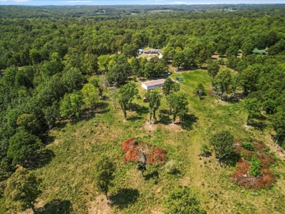 Perfect Ozarks Hobby Farm Just Outside of Alton, MO - image 24