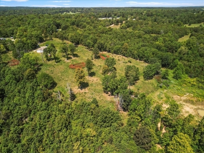Perfect Ozarks Hobby Farm Just Outside of Alton, MO - image 25