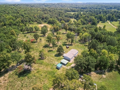 Perfect Ozarks Hobby Farm Just Outside of Alton, MO - image 19