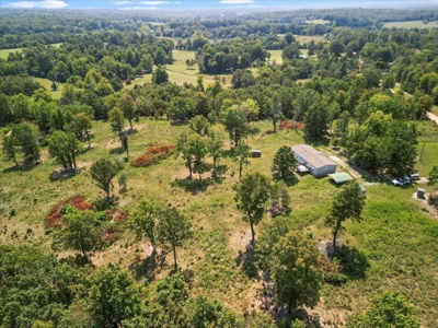 Perfect Ozarks Hobby Farm Just Outside of Alton, MO - image 20
