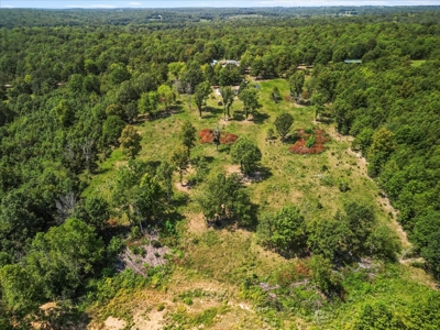 Perfect Ozarks Hobby Farm Just Outside of Alton, MO - image 23
