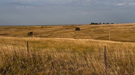 Furnas County Nebraska Farm & Pasture For Sale - image 3