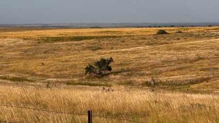 Furnas County Nebraska Farm & Pasture For Sale - image 4