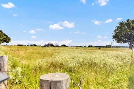 Van Texas Vacant Land for Sale Near Canton East of Dallas - image 18