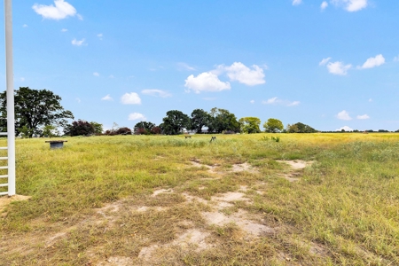 Van Texas Vacant Land for Sale Near Canton East of Dallas - image 19