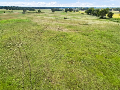 Van Texas Vacant Land for Sale Near Canton East of Dallas - image 9